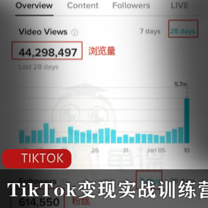 龟课·TikTok变现实战训练营线上第1期，多种变现模式，轻松赚美刀