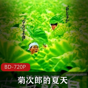 日本电影《菊次郎的夏天》高清版珍藏推荐