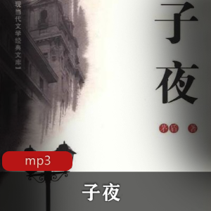 有声小说《子夜》演播：杨建松