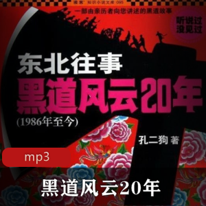 有声书《黑道风云20年》合集推荐