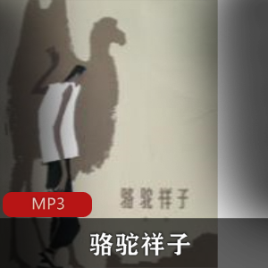 有声书《天使的愤怒》喜马拉雅FM