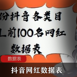 抖音各类目KOL前100名网红数据表